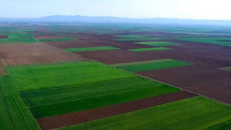 Termik santral ihalesi 5’inci kez ertelendi