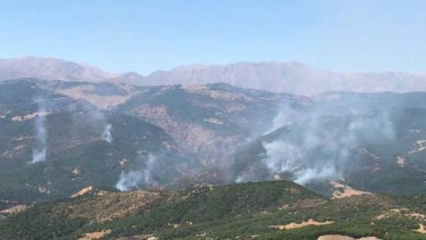 Tunceli'de 1 haftadır devam eden orman yangını!