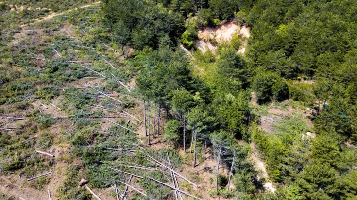 Vali, yargıyı beklemedi, Çanakkale’yi tehdit eden projeye onay verdi