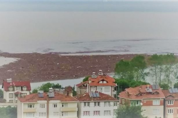 Valilik Ordu'daki selin bilançosunu açıkladı: 100 ton fındık zarar gördü