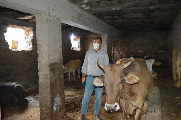 Valilik 'şarbonlu kişi yok' dedi ama 50 kişiden örnek alındı!