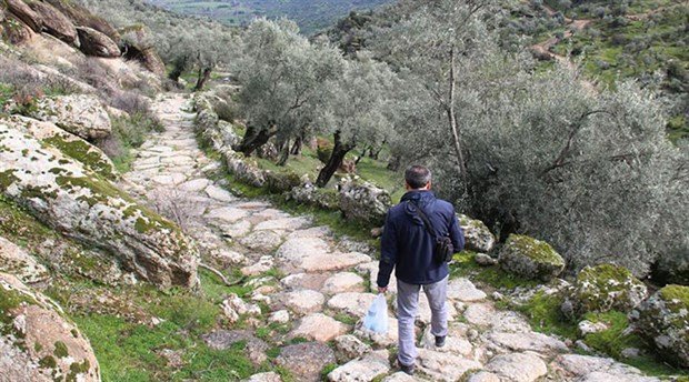 Zeytinliklere yol açmak için 2 bin 300 yıllık antik yolu tahrip ettiler
