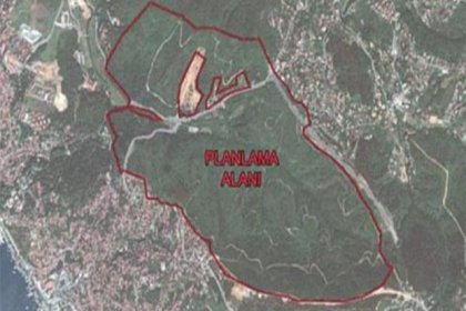 Beykoz'daki ormanlık alanı talan edecek şirket, AKP'ye yakınlığıyla bilinen Kalyon İnşaat çıktı