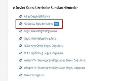 e-Devletten soyağacına bakıp göçmen olduğunu öğrenen yurttaşlar çifte vatandaşlık için harekete geçti