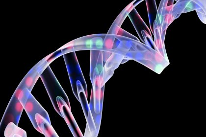 Genler ölümden sonra faal olmaya devam ediyor