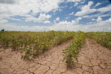 İklim değişikliği gıda güvenliğini tehdit ediyor