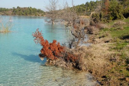 Muğla'da ‘asit göleti’ tehlike saçıyor!