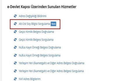 Soyağacı sorgulamasının ne zaman başlayacağı belli oldu