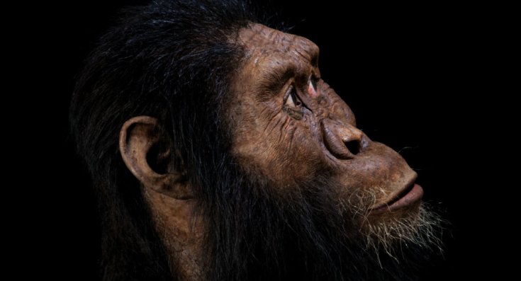 3.8 milyon yıllık kafatası, 'Lucy'nin atalarının nasıl göründüğünü ortaya çıkardı 3.8 milyon yıllık kafatası, 'Lucy'nin atalarının nasıl göründüğünü ortaya çıkardı