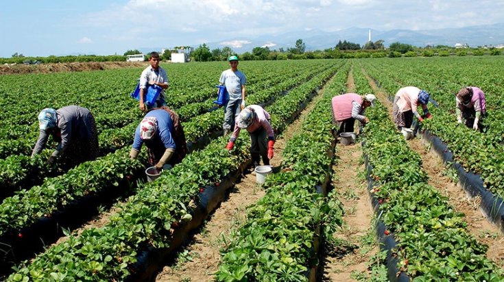 '8 yıldır savaştaki Suriye’den bile ürün alıyoruz'