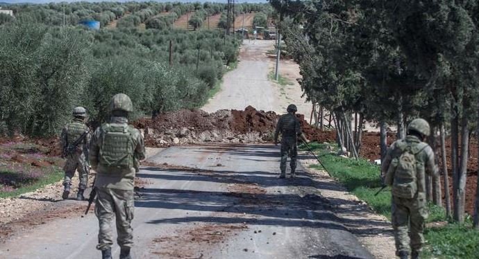 Afrin zeytinyağı 'Türk malı' oldu