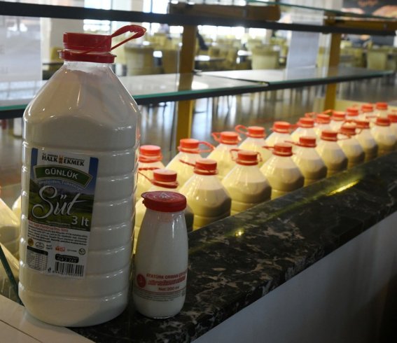 Ankara'da Halk Süt satışı başladı