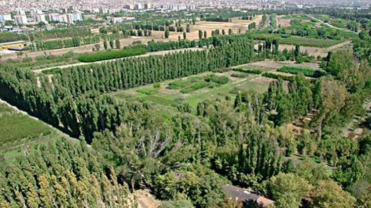 Atatürk Orman Çiftliği, arazisinin yarıya yakınını otoyollar ve yapılaşmalarla kaybetti