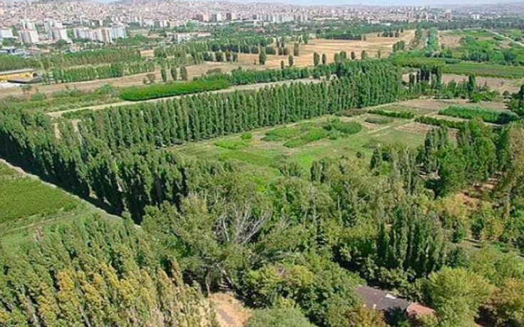 Atatürk Orman Çiftliği zarar etti