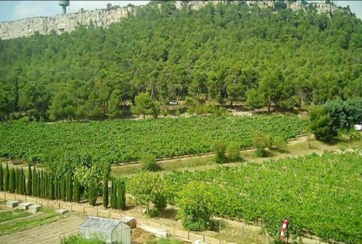 Atatürk Orman Çiftliği'nden Özel Kuvvetler’e arazi