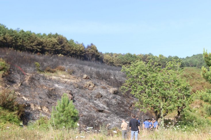 Aydos ormanında çıkan yangın söndürüldü, başkan Gökhan Yüksel, 'Kaybettiğimiz bölgeyi en kısa sürede yeniden ağaçlandıracağız' dedi