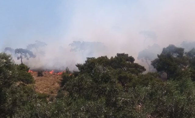 Balıkesir'de orman yangını