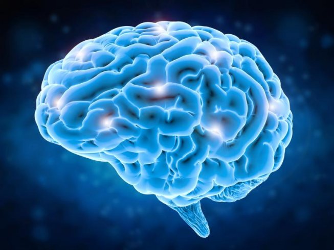 Beyin 90'lı yaşlara kadar yeni hücre üretebiliyor