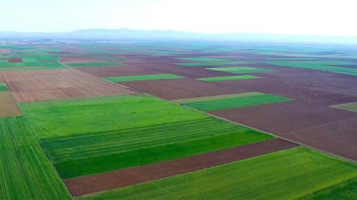 Bilirkişi raporu: Alpu Ovası'na termik santral kurulmamalı Bilirkişi raporu: Alpu Ovası'na termik santral kurulmamalı