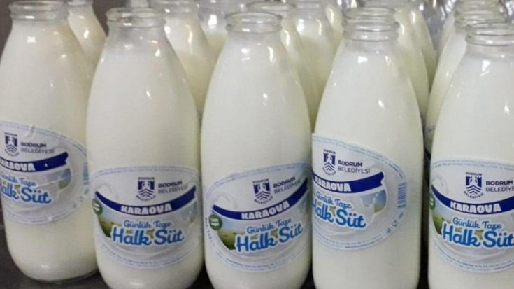 'Bodrum Halk Süt' satışa çıktı
