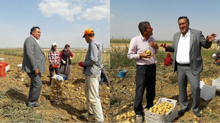 CHP'li Gürer: Çadırlarda domates, patlıcan satarak tarımın sorunları çözülemez