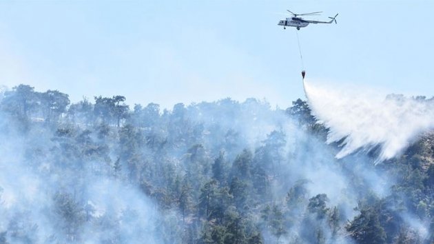 CHP’li Polat, orman yangınlarını Meclis'e taşıdı