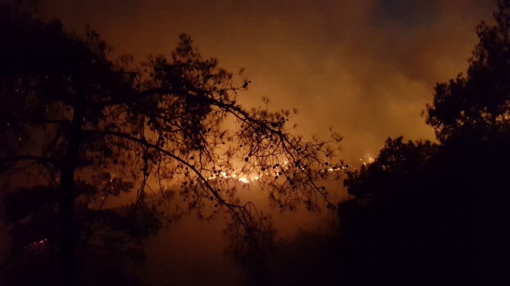 Dalaman ve Göcek'teki yangın kısmen kontrol altına alındı