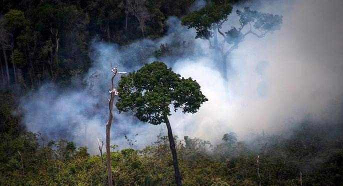 Dünyanın akciğeri Amazon ormanları yanıyor