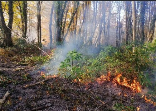 Karadeniz'de 71 noktada yangınlar sürüyor