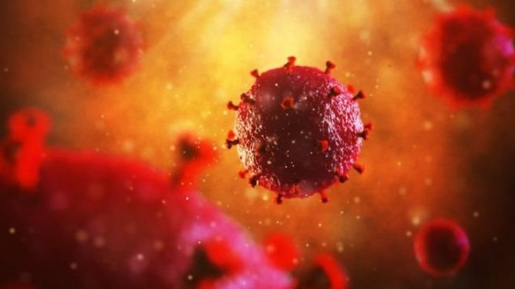 Kök hücre tedavisi gören kişi HIV virüsünden kurtuldu
