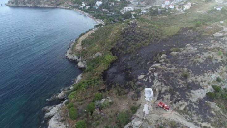 Marmara Adası için 'ağaçlandırma seferberliği' başlatılacak