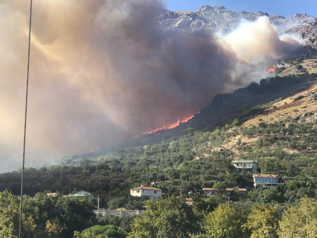 Marmara Adası'ndaki yangında 80 hektar küle döndü