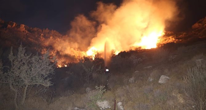 Muğla'da makilik alanda yangın çıktı