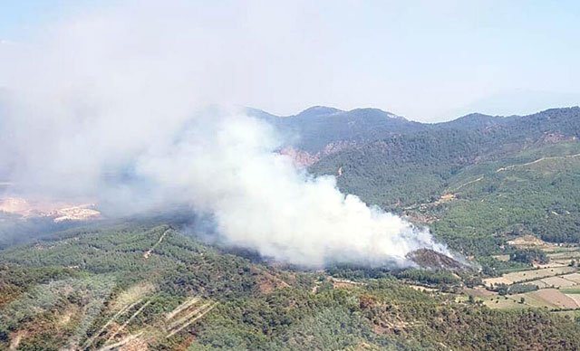 Muğla'da orman yangını