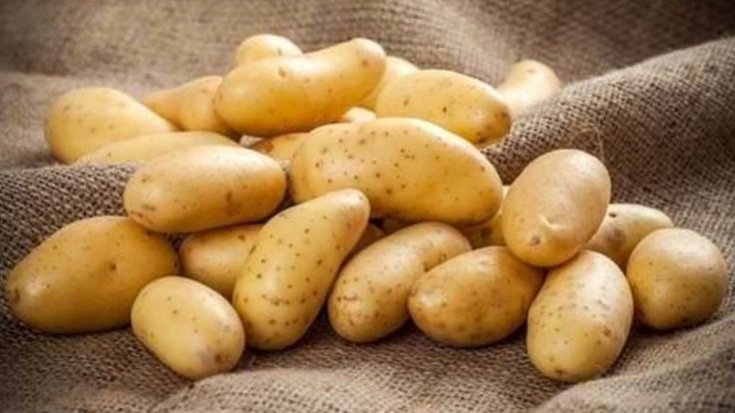 Patates üreticileri hükümete tepkili: Mazot, tohum, gübre fiyatları uçtu. Bu zamları kaldıramıyoruz
