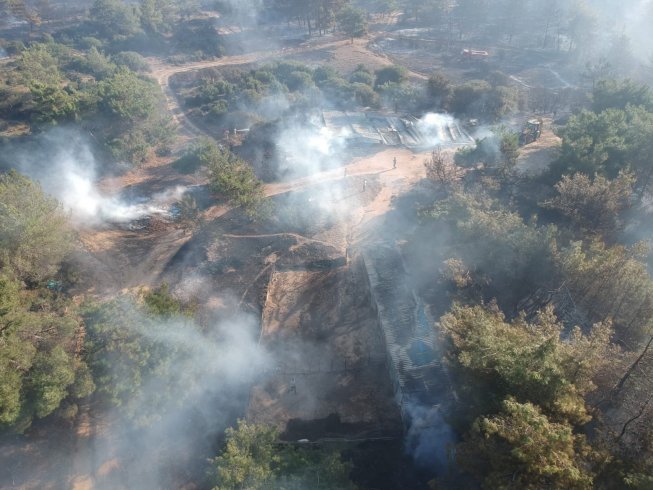 Tarihi Gelibolu Yarımadası’nda orman yangını