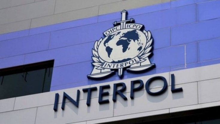 Türkiye’den Almanya’ya bin 252 Interpol kararı: 'Türkiye Interpol’ü kötüye kullanıyor'
