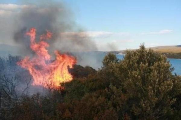 Urla'da orman yangını: 1 makilik alan kül oldu