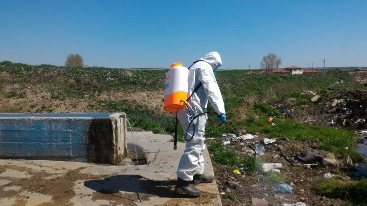 Uzunköprü Belediyesi, sivri sinekle mücadele için çalışmalara başladı