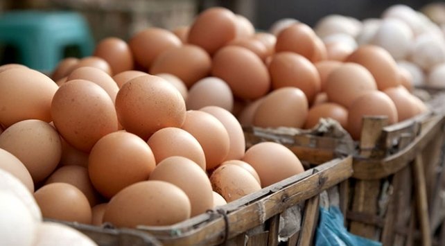 Yumurta üreticilerine vadeli mısır satışı