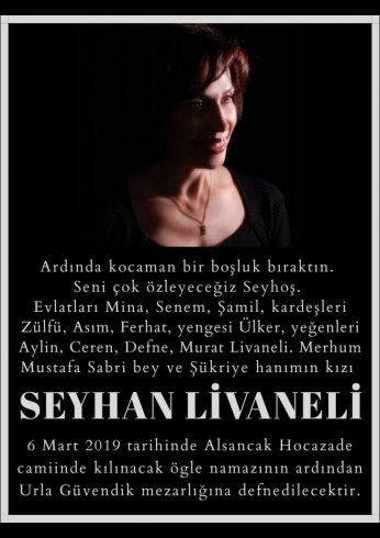 Livaneli ailesinin acı günü: Seyhan Livaneli hayatını kaybetti