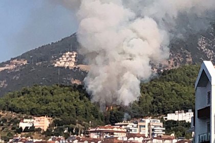 Alanya'da orman yangını