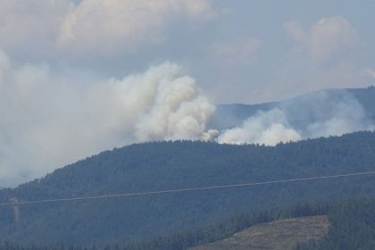 Bursa'da orman yangını