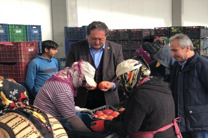 CHP'li Özer: Elma ihracatı durma noktasında