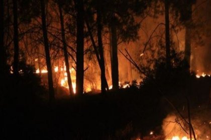 Dalaman'da orman yangını: 17 saat sonra kısmen kontrol altına alındı