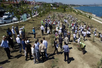 Dünya Çevre Günü'nde Büyükçekmece'de 1001 zeytin fidanı dikildi