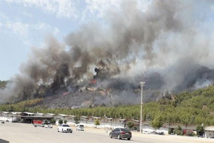 Fethiye'de ormanlık alanda yangın