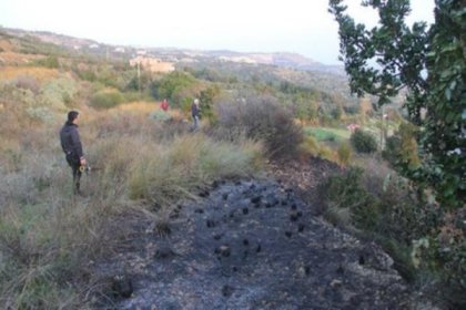 Hatay'da orman yangını