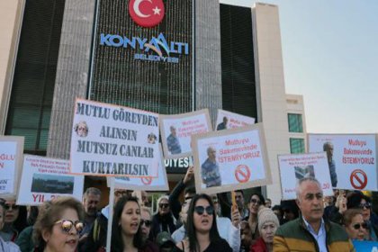 Hayvanseverlerin protesto ettiği müdür görevden alındı