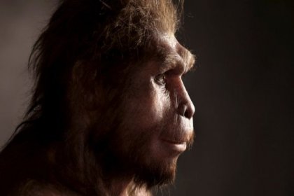 "Homo Erectus, sanıldığından çok daha uzun süre yaşadı"